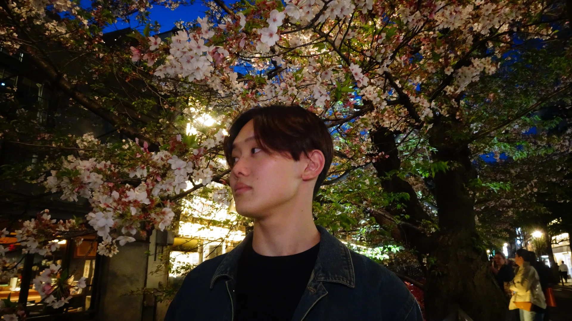 Sota Tokumoto beneath cherry blossoms in the evening
